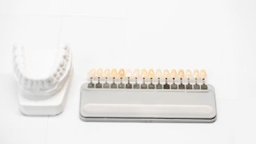 Die einzelnen Zähne sind genau durchnummeriert.